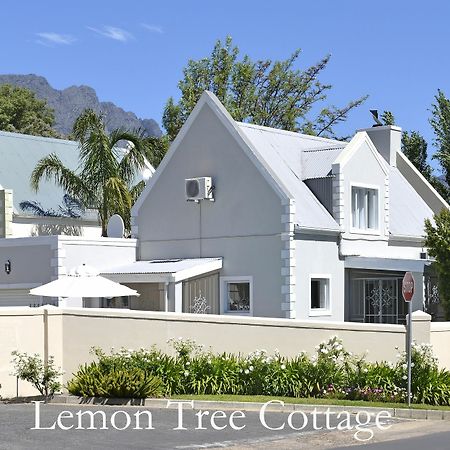 Lemon Tree Cottage Self Catering Franschhoek Ngoại thất bức ảnh