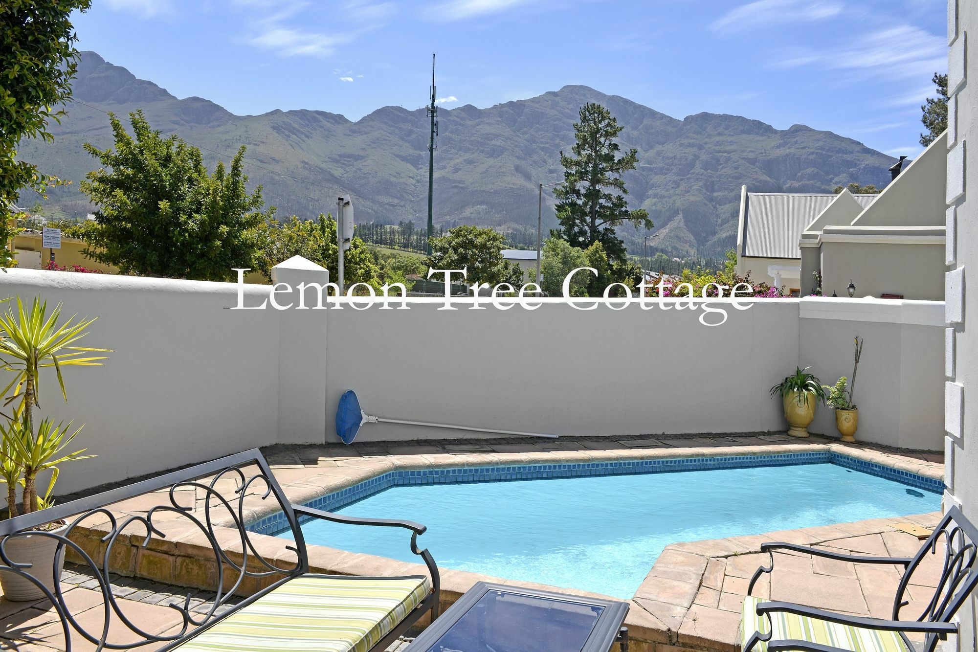 Lemon Tree Cottage Self Catering Franschhoek Ngoại thất bức ảnh