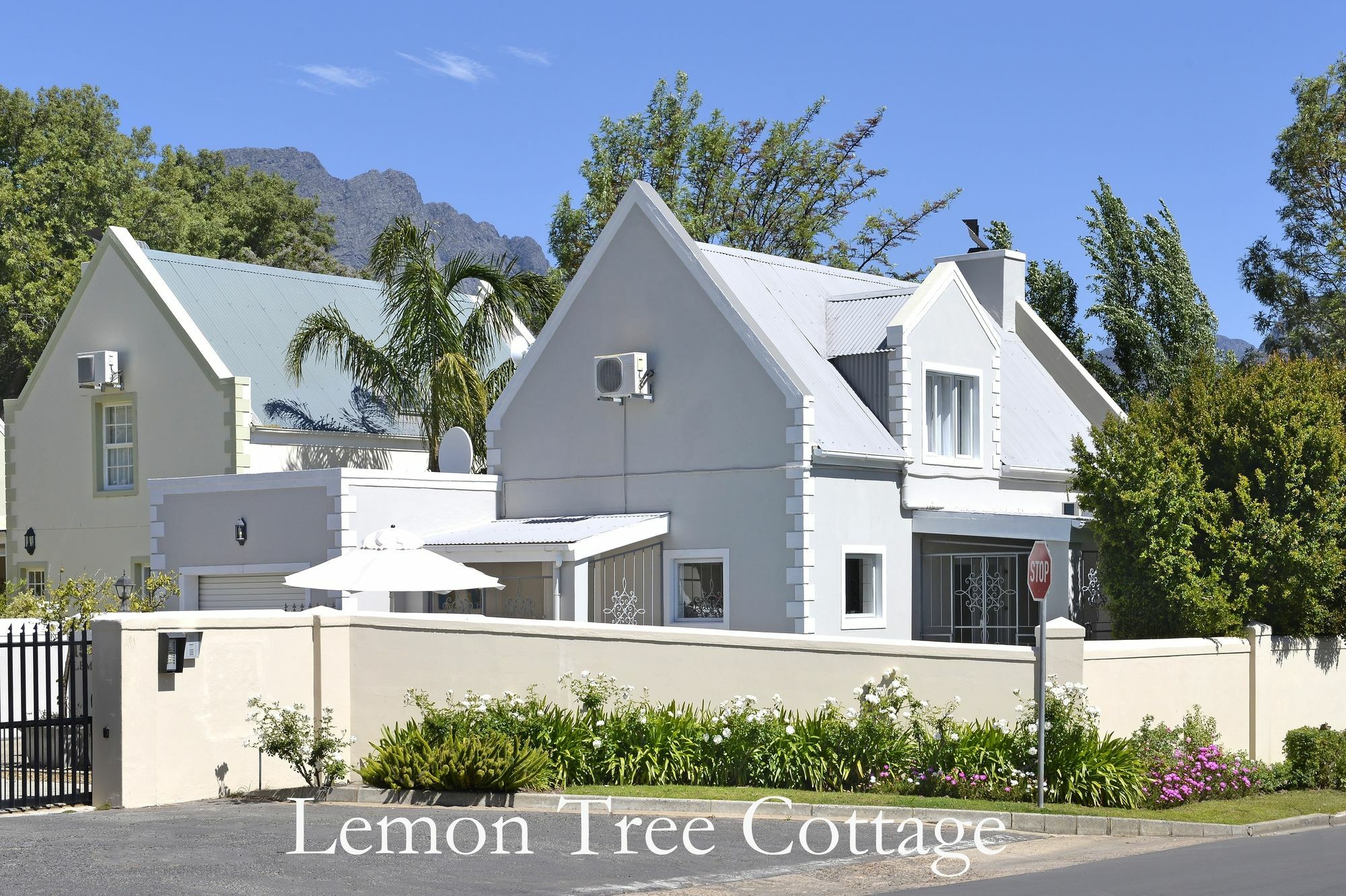 Lemon Tree Cottage Self Catering Franschhoek Ngoại thất bức ảnh