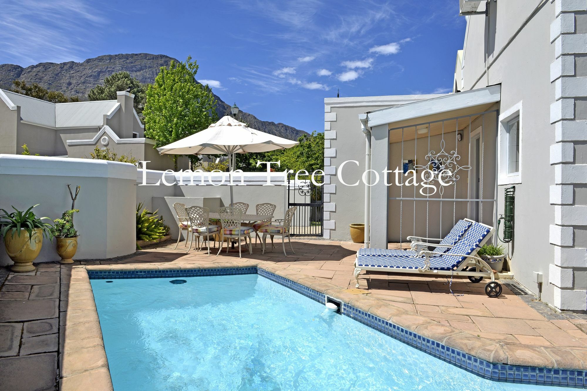 Lemon Tree Cottage Self Catering Franschhoek Ngoại thất bức ảnh